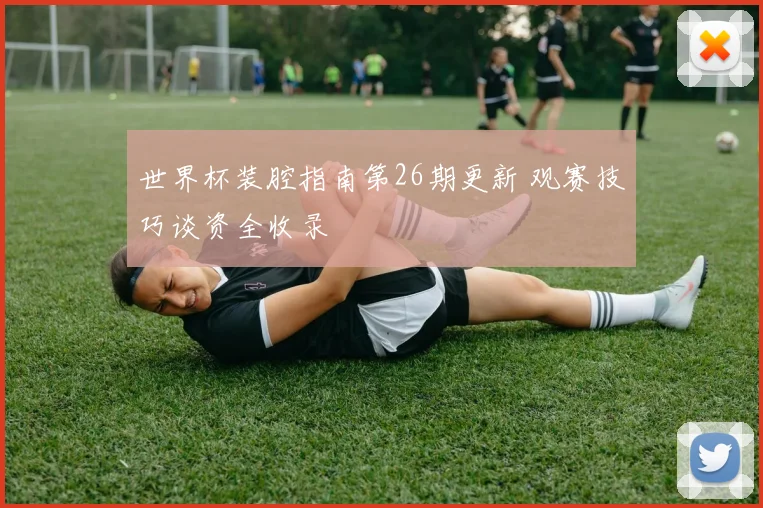 世界杯装腔指南第26期更新 观赛技巧谈资全收录