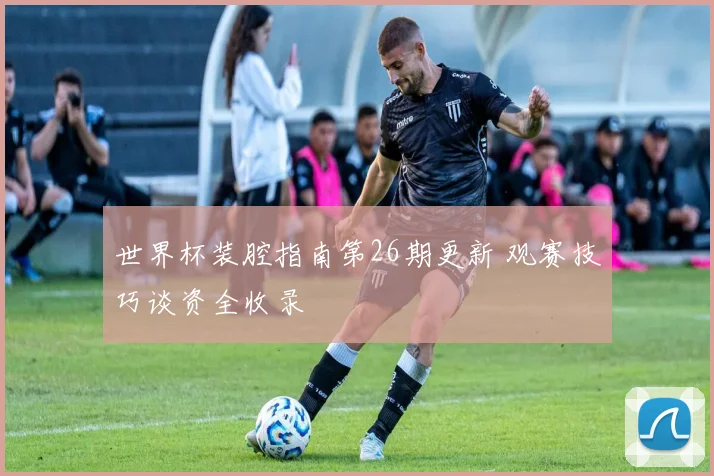 世界杯装腔指南第26期更新 观赛技巧谈资全收录