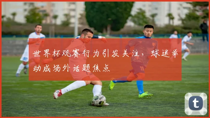 世界杯观赛行为引发关注,球迷举动成场外话题焦点